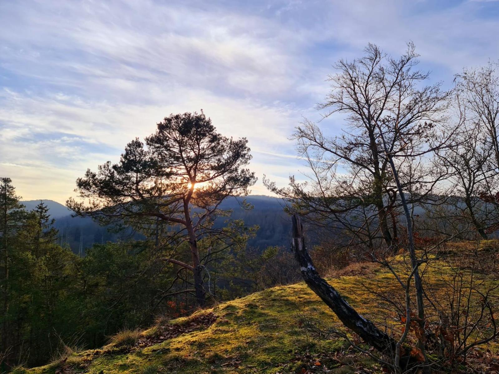 Ferienhaus Schoene Aussicht Ferienwohnung Rot Hemfurth-Edersee エクステリア 写真